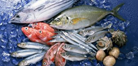 The nutritional value and health effects of seafood